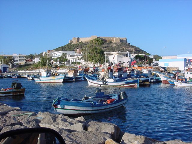 Excursion Cap Bon – Kelibia – El Haouaria – Korbous