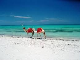Excursion Djerba la Douce